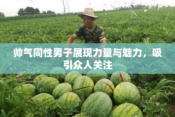 帅气同性男子展现力量与魅力，吸引众人关注