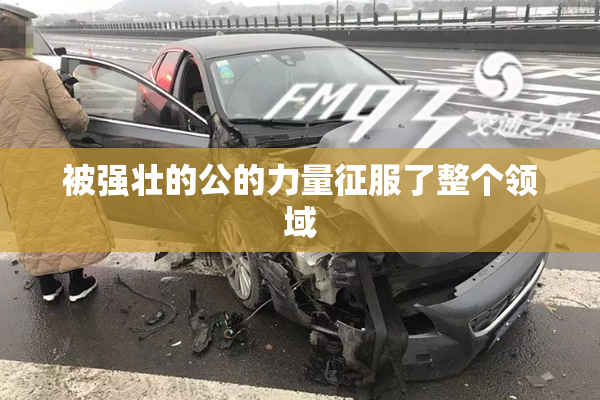 被强壮的公的力量征服了整个领域