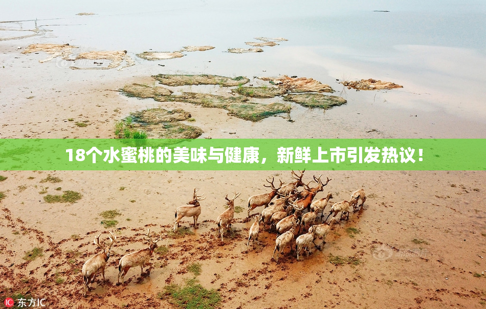 18个水蜜桃的美味与健康，新鲜上市引发热议！