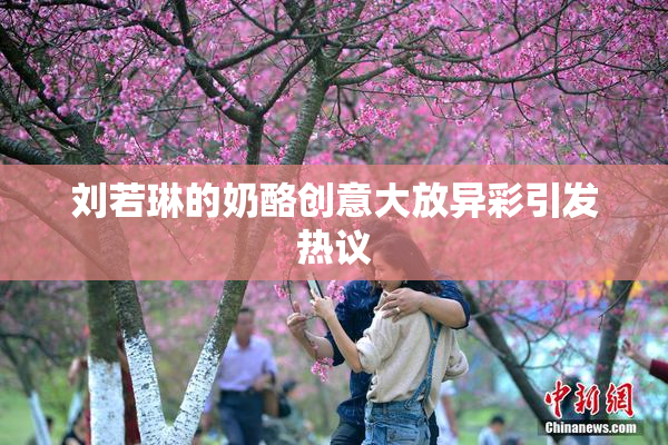 刘若琳的奶酪创意大放异彩引发热议