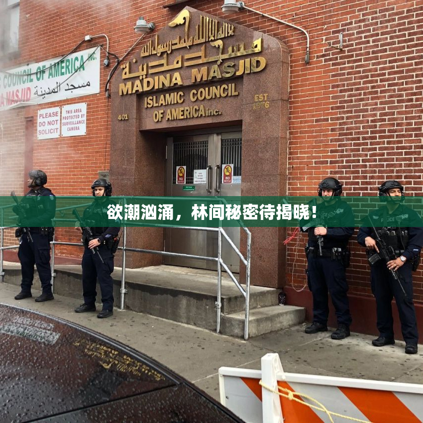 欲潮汹涌，林间秘密待揭晓！