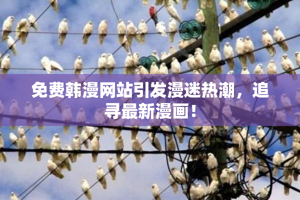 免费韩漫网站引发漫迷热潮，追寻最新漫画！