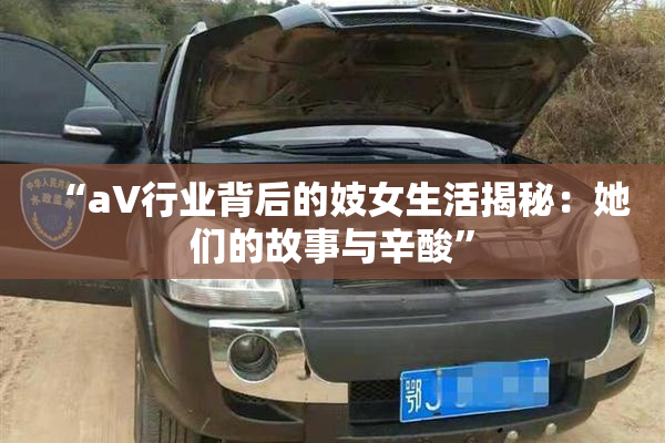 “aV行业背后的妓女生活揭秘：她们的故事与辛酸”