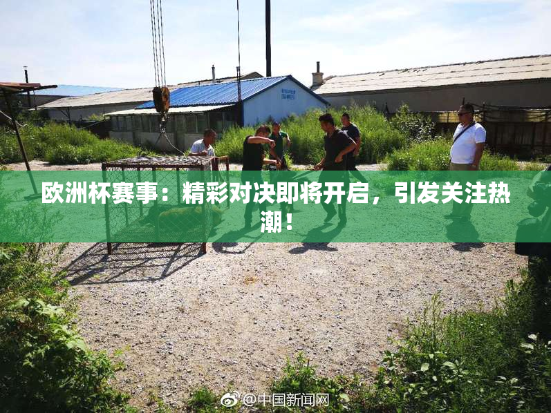 欧洲杯赛事：精彩对决即将开启，引发关注热潮！