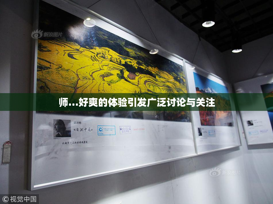 师…好爽的体验引发广泛讨论与关注