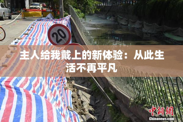 主人给我戴上的新体验：从此生活不再平凡