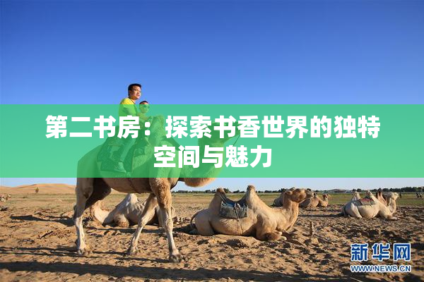 第二书房：探索书香世界的独特空间与魅力