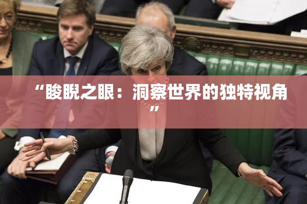 “睃睨之眼：洞察世界的独特视角”
