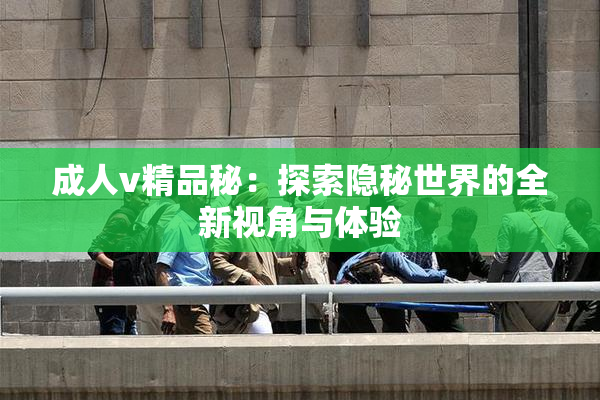 成人v精品秘：探索隐秘世界的全新视角与体验