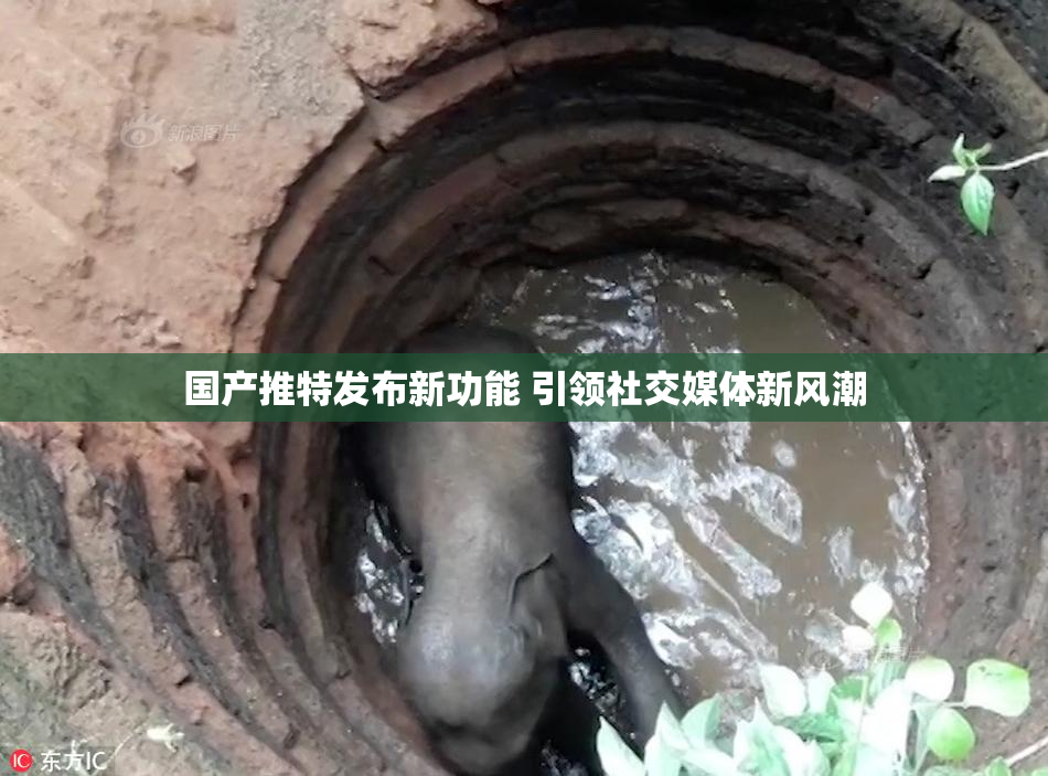 国产推特发布新功能 引领社交媒体新风潮