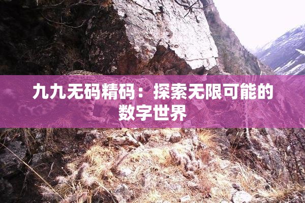 九九无码精码：探索无限可能的数字世界