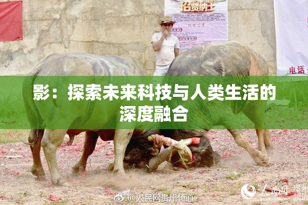 影：探索未来科技与人类生活的深度融合
