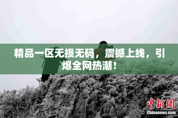 精品一区无损无码，震撼上线，引爆全网热潮！