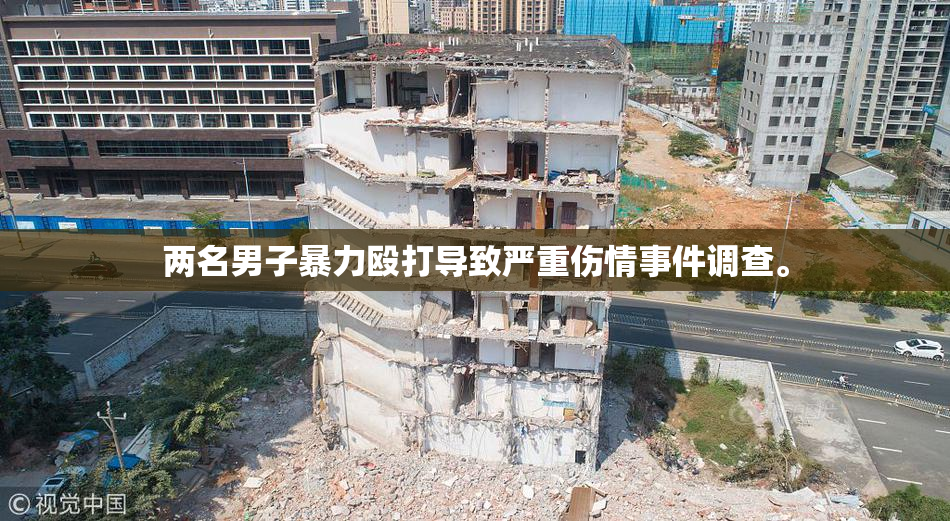 两名男子暴力殴打导致严重伤情事件调查。