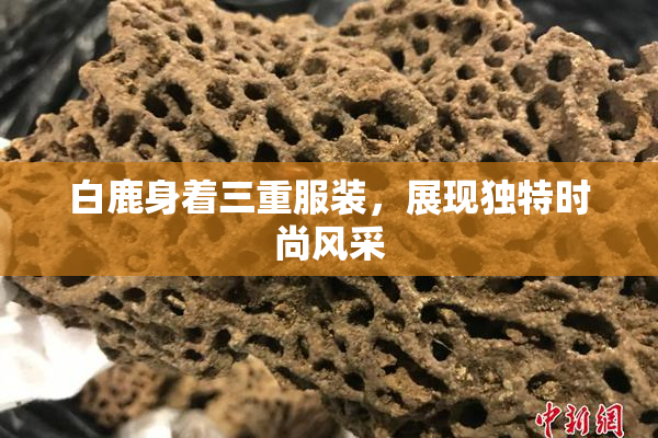 白鹿身着三重服装，展现独特时尚风采