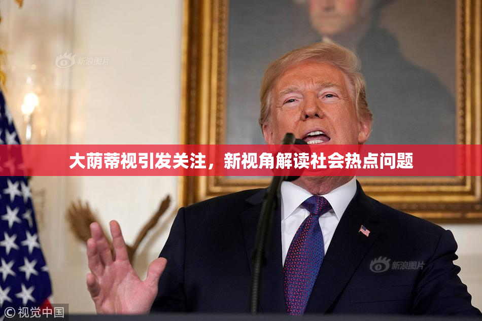 大荫蒂视引发关注，新视角解读社会热点问题