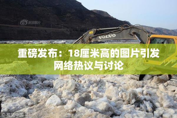 重磅发布：18厘米高的图片引发网络热议与讨论