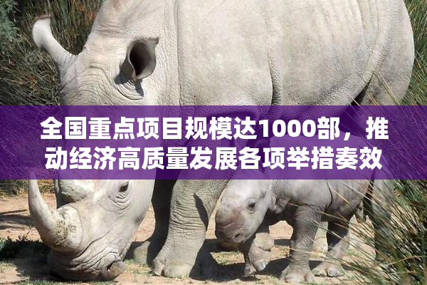 全国重点项目规模达1000部，推动经济高质量发展各项举措奏效