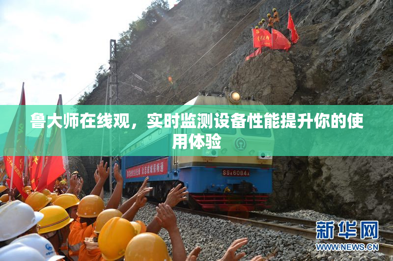 鲁大师在线观，实时监测设备性能提升你的使用体验