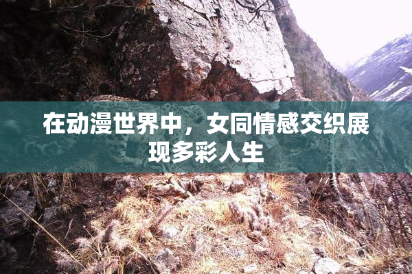 在动漫世界中，女同情感交织展现多彩人生
