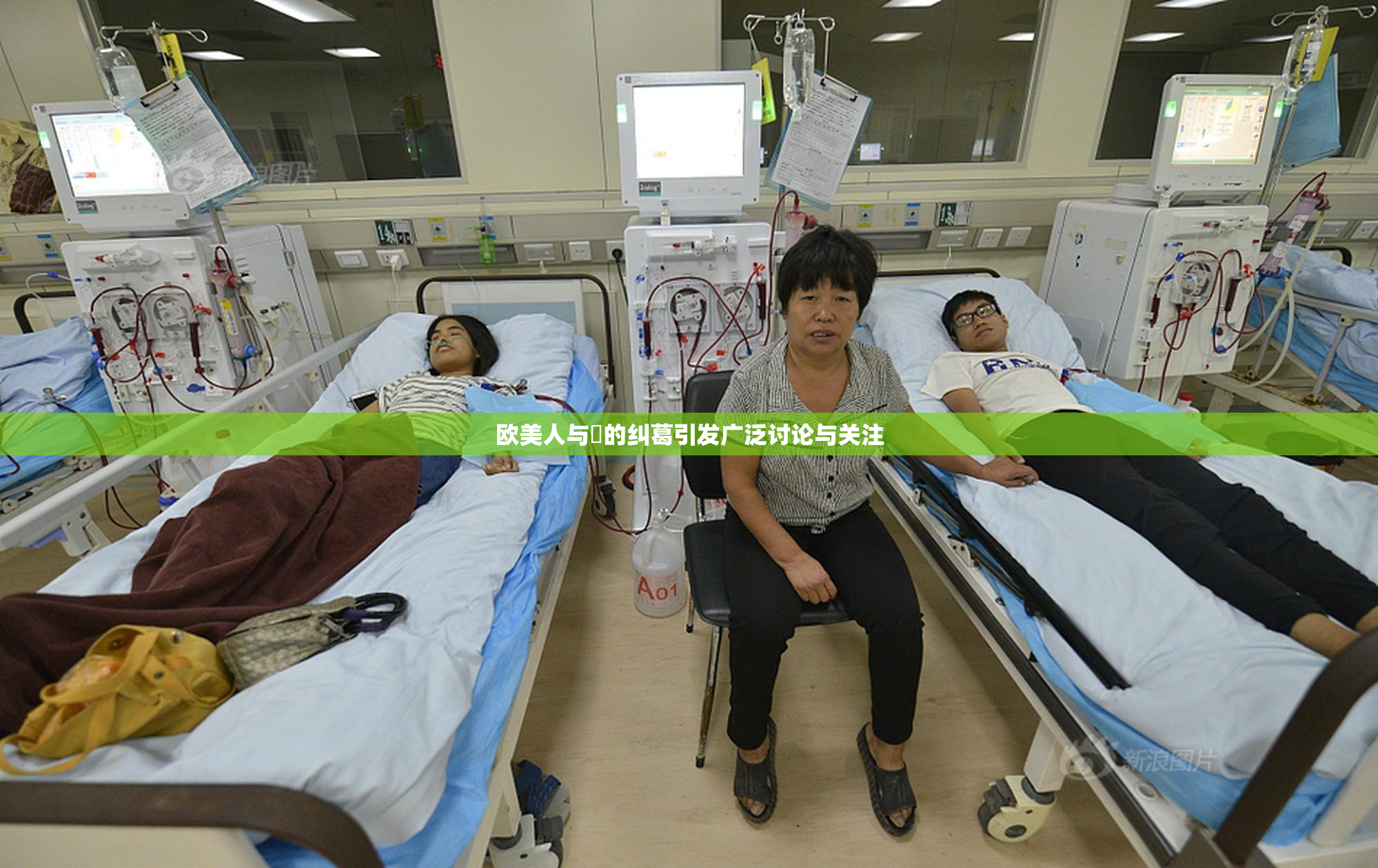 欧美人与嘼的纠葛引发广泛讨论与关注