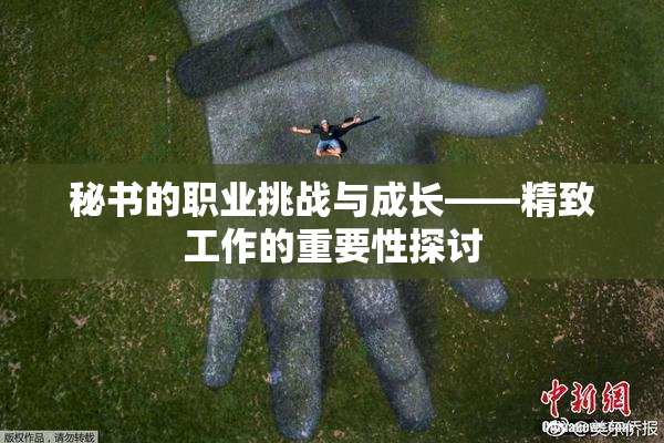 秘书的职业挑战与成长——精致工作的重要性探讨