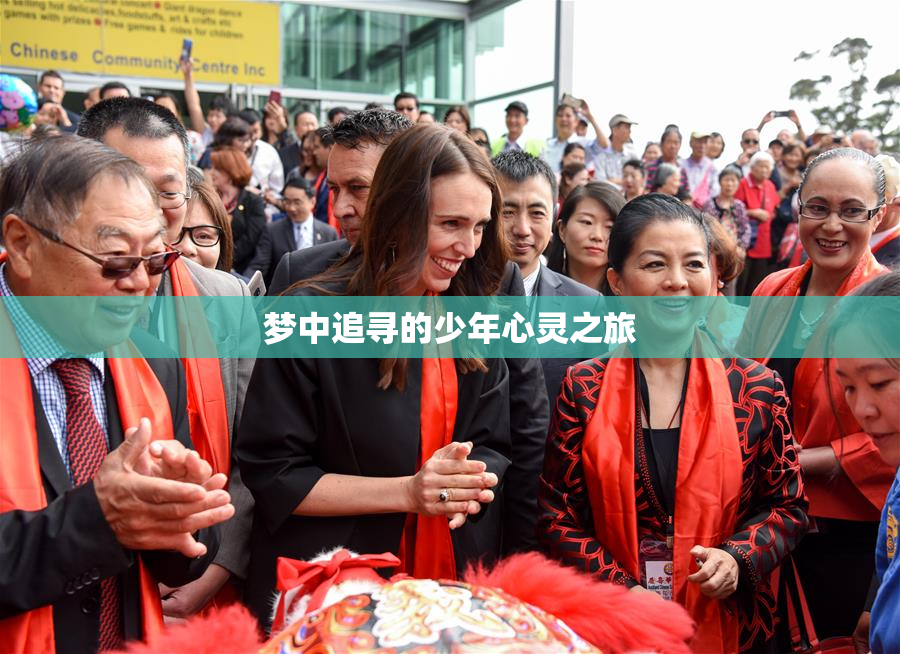 梦中追寻的少年心灵之旅