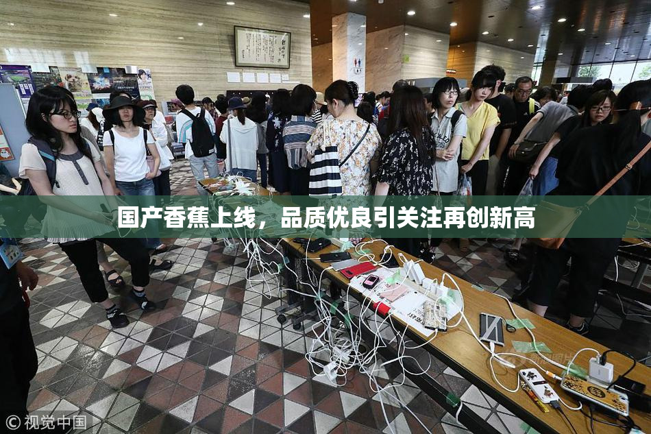 国产香蕉上线，品质优良引关注再创新高