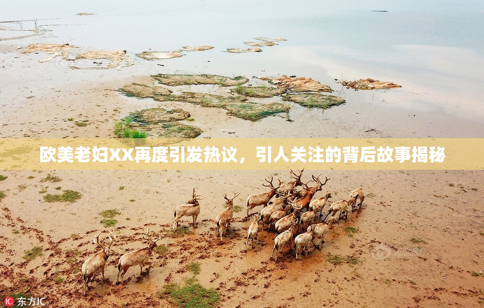 欧美老妇XX再度引发热议，引人关注的背后故事揭秘
