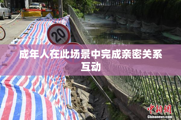 成年人在此场景中完成亲密关系互动