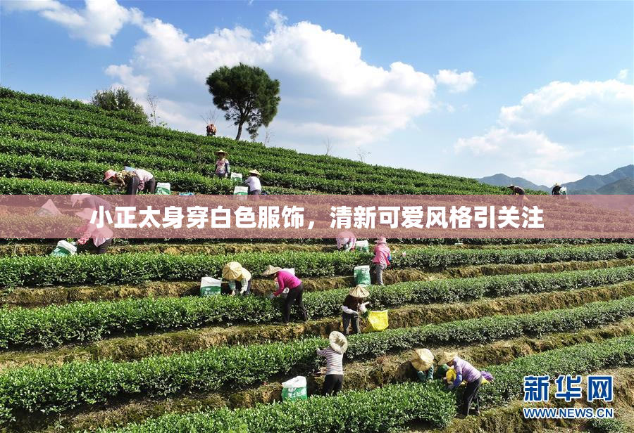 小正太身穿白色服饰，清新可爱风格引关注