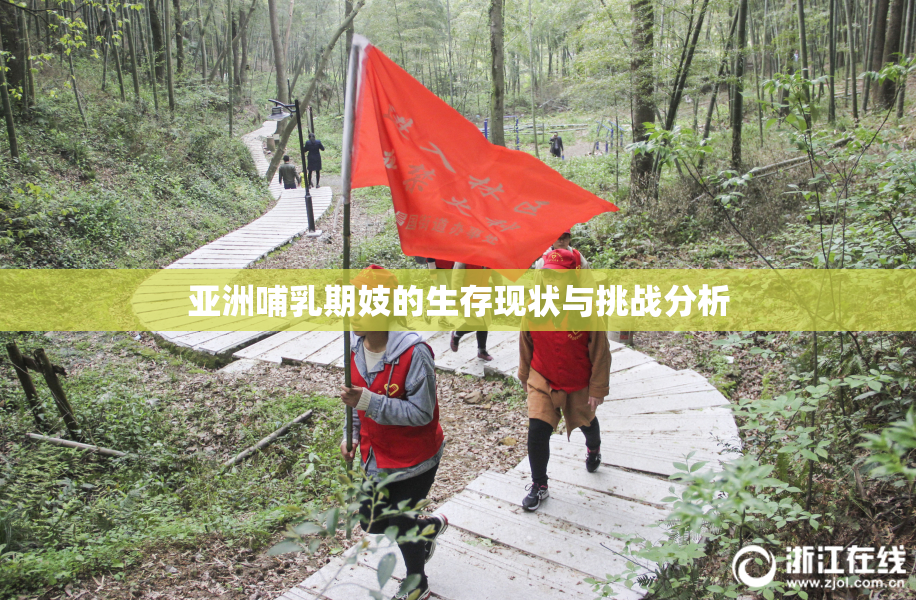 亚洲哺乳期妓的生存现状与挑战分析