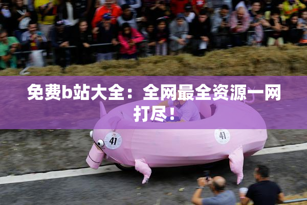 免费b站大全：全网最全资源一网打尽！