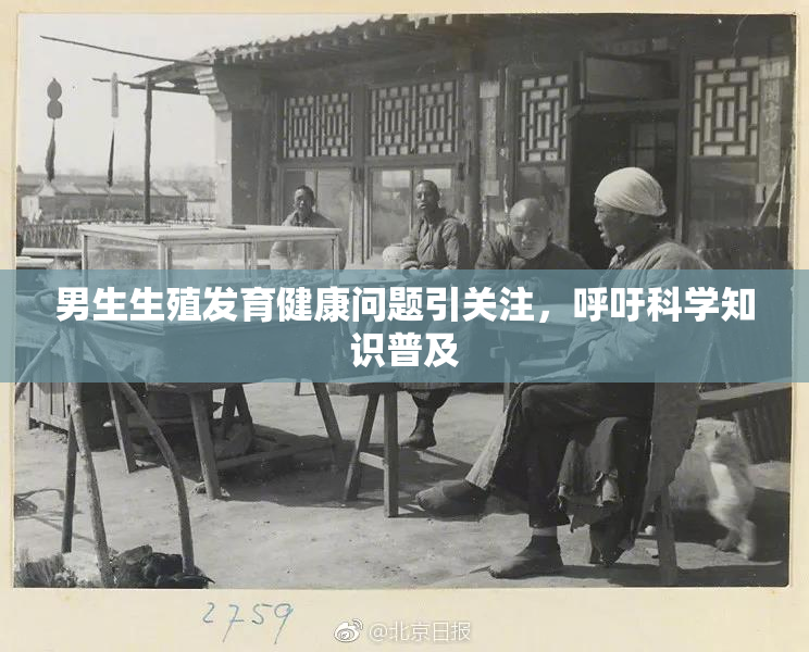 男生生殖发育健康问题引关注，呼吁科学知识普及