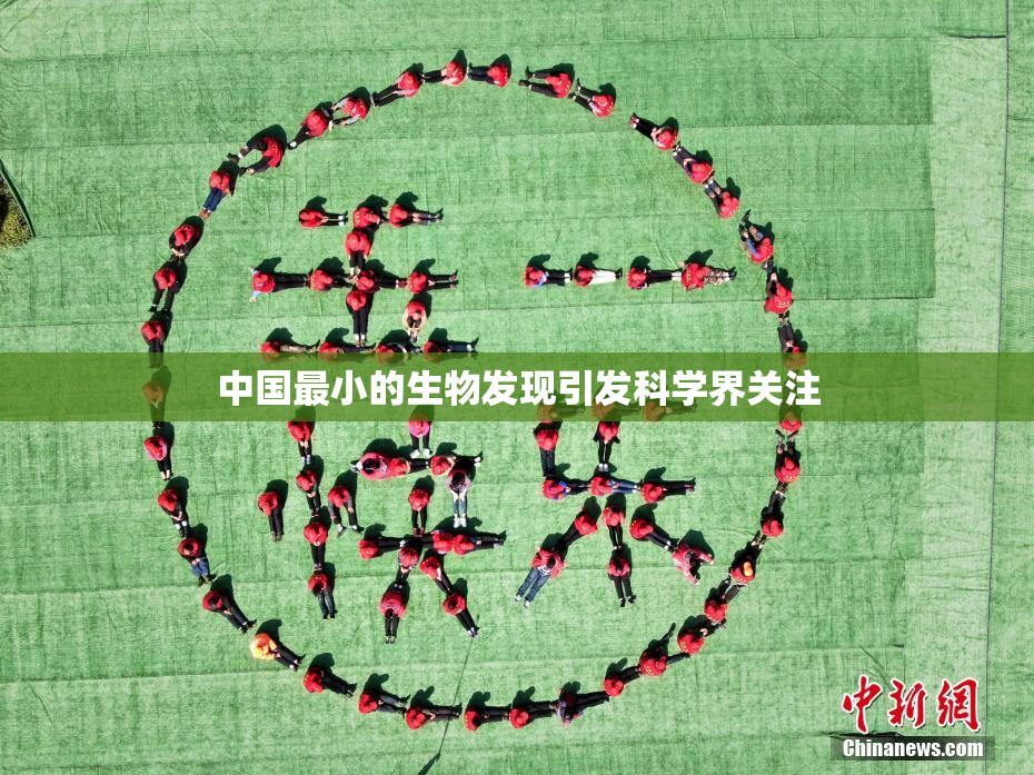 中国最小的生物发现引发科学界关注