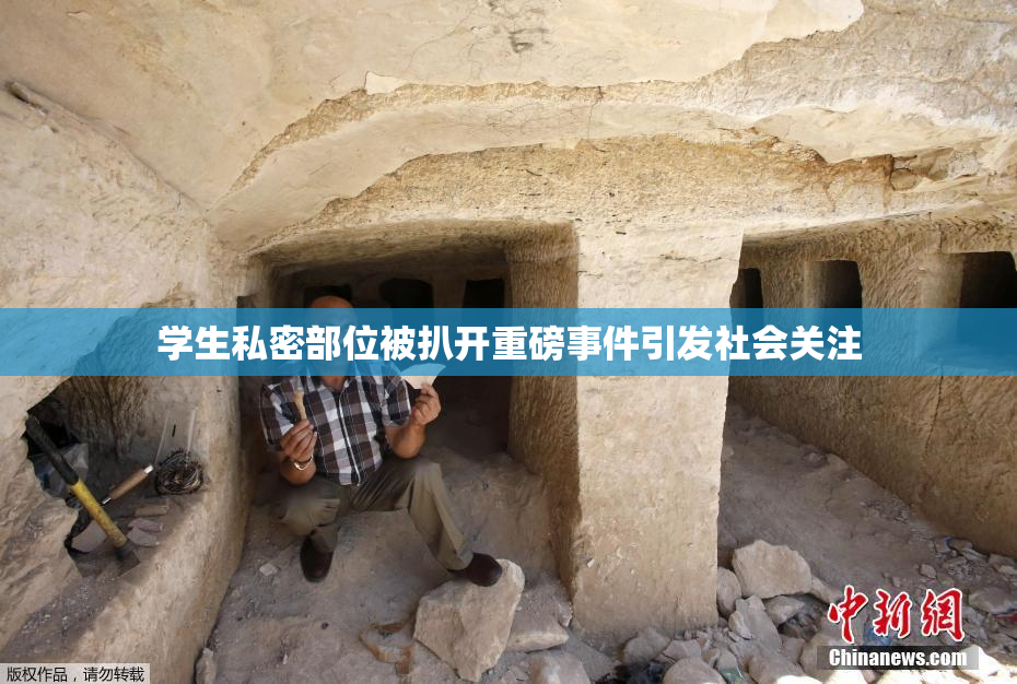 学生私密部位被扒开重磅事件引发社会关注