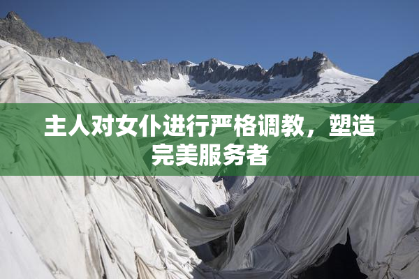 主人对女仆进行严格调教，塑造完美服务者