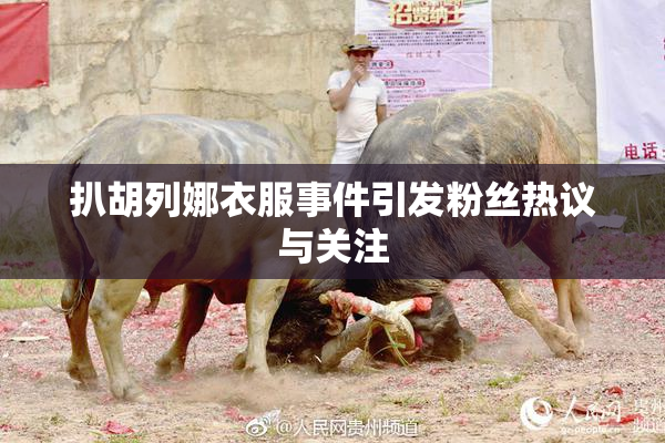 扒胡列娜衣服事件引发粉丝热议与关注
