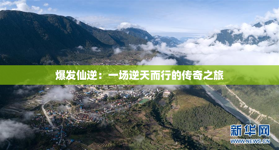 爆发仙逆：一场逆天而行的传奇之旅