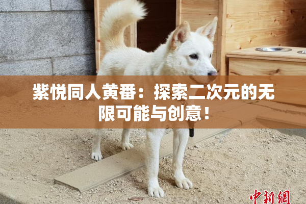 紫悦同人黄番：探索二次元的无限可能与创意！
