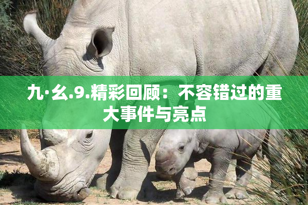 九·幺.9.精彩回顾：不容错过的重大事件与亮点