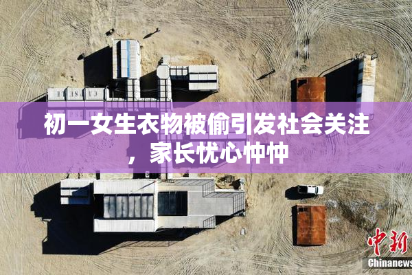 初一女生衣物被偷引发社会关注，家长忧心忡忡