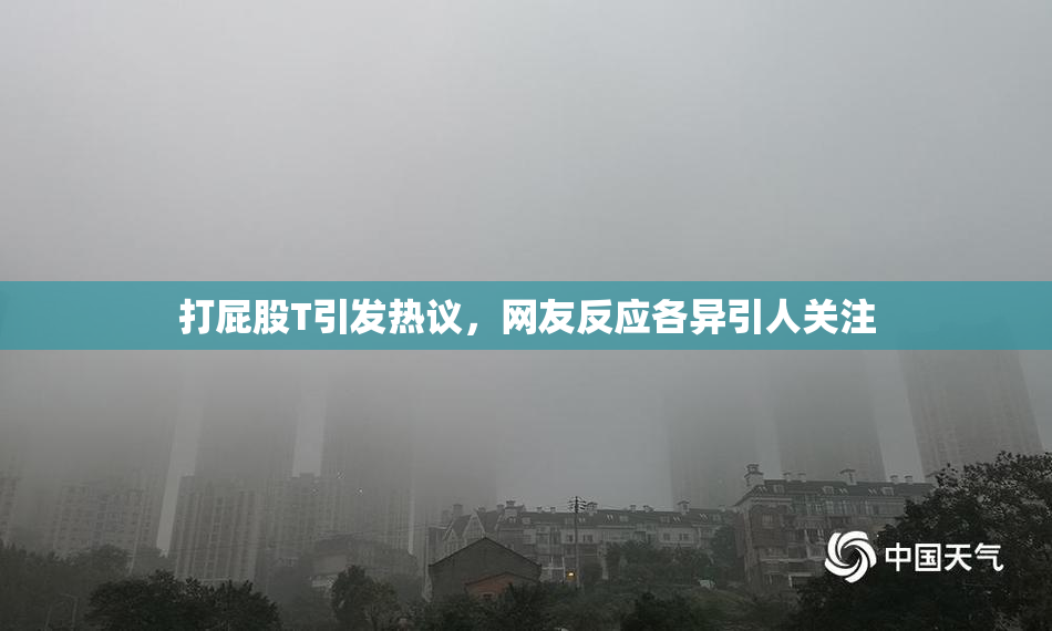 打屁股T引发热议，网友反应各异引人关注