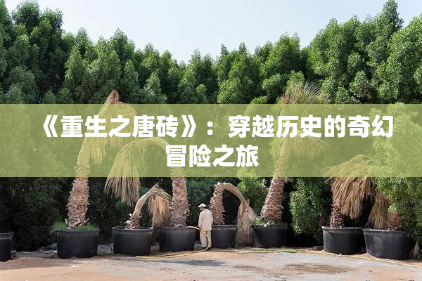 《重生之唐砖》：穿越历史的奇幻冒险之旅