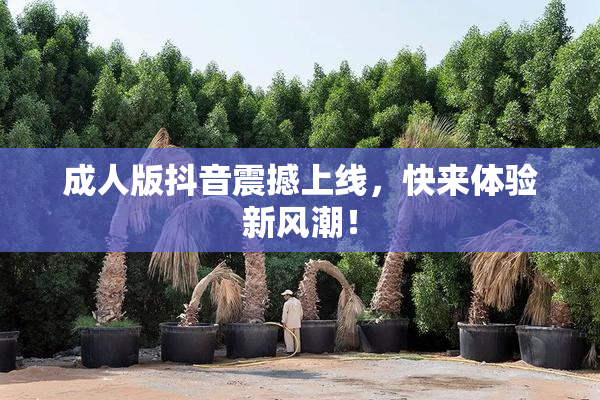 成人版抖音震撼上线，快来体验新风潮！