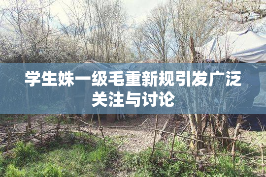 学生姝一级毛重新规引发广泛关注与讨论