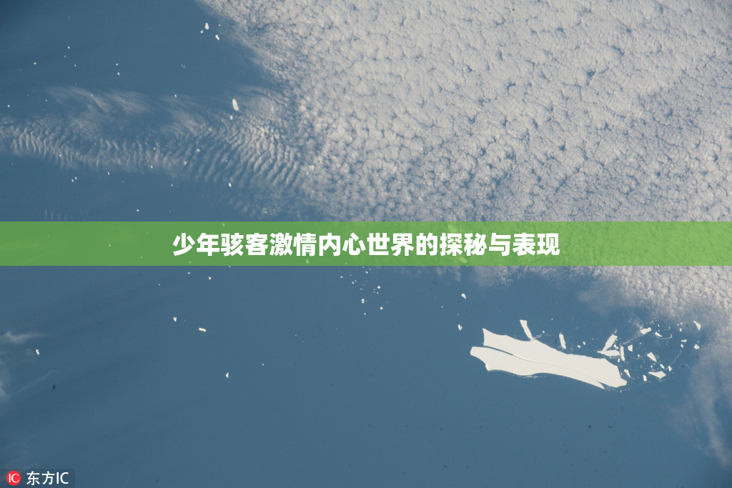 少年骇客激情内心世界的探秘与表现