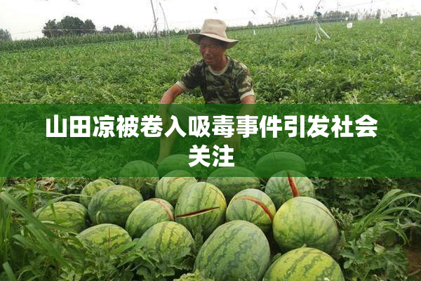 山田凉被卷入吸毒事件引发社会关注