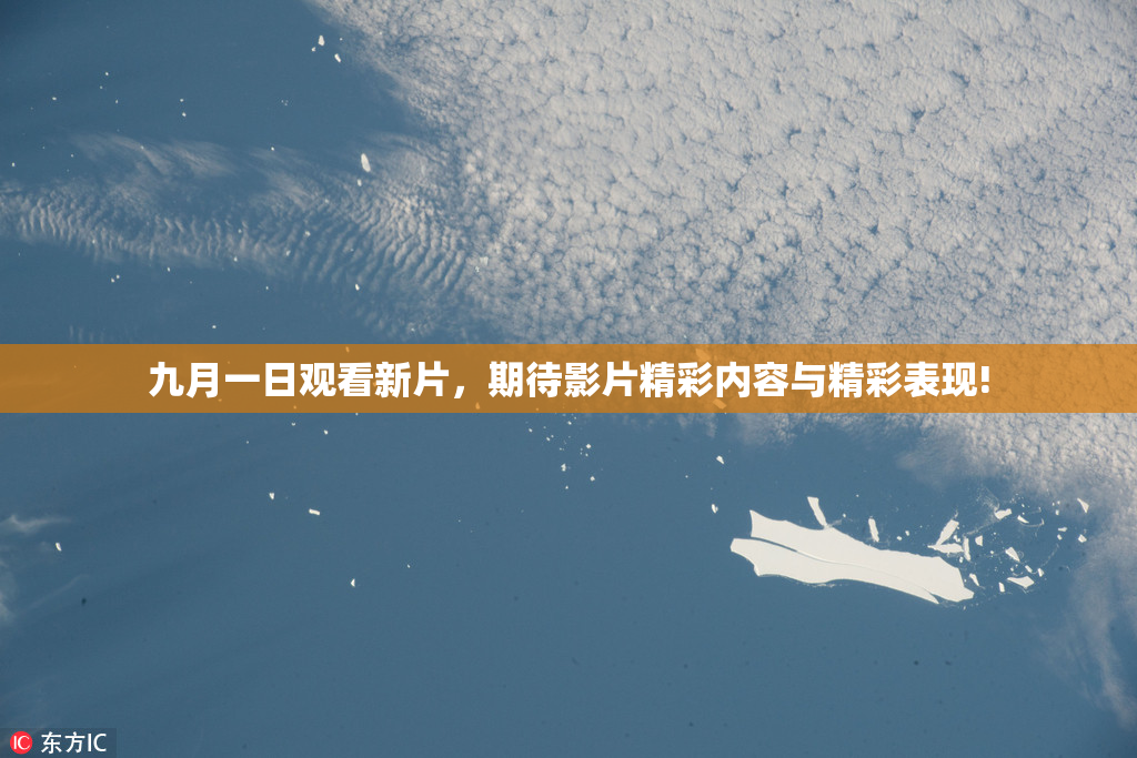 九月一日观看新片，期待影片精彩内容与精彩表现!