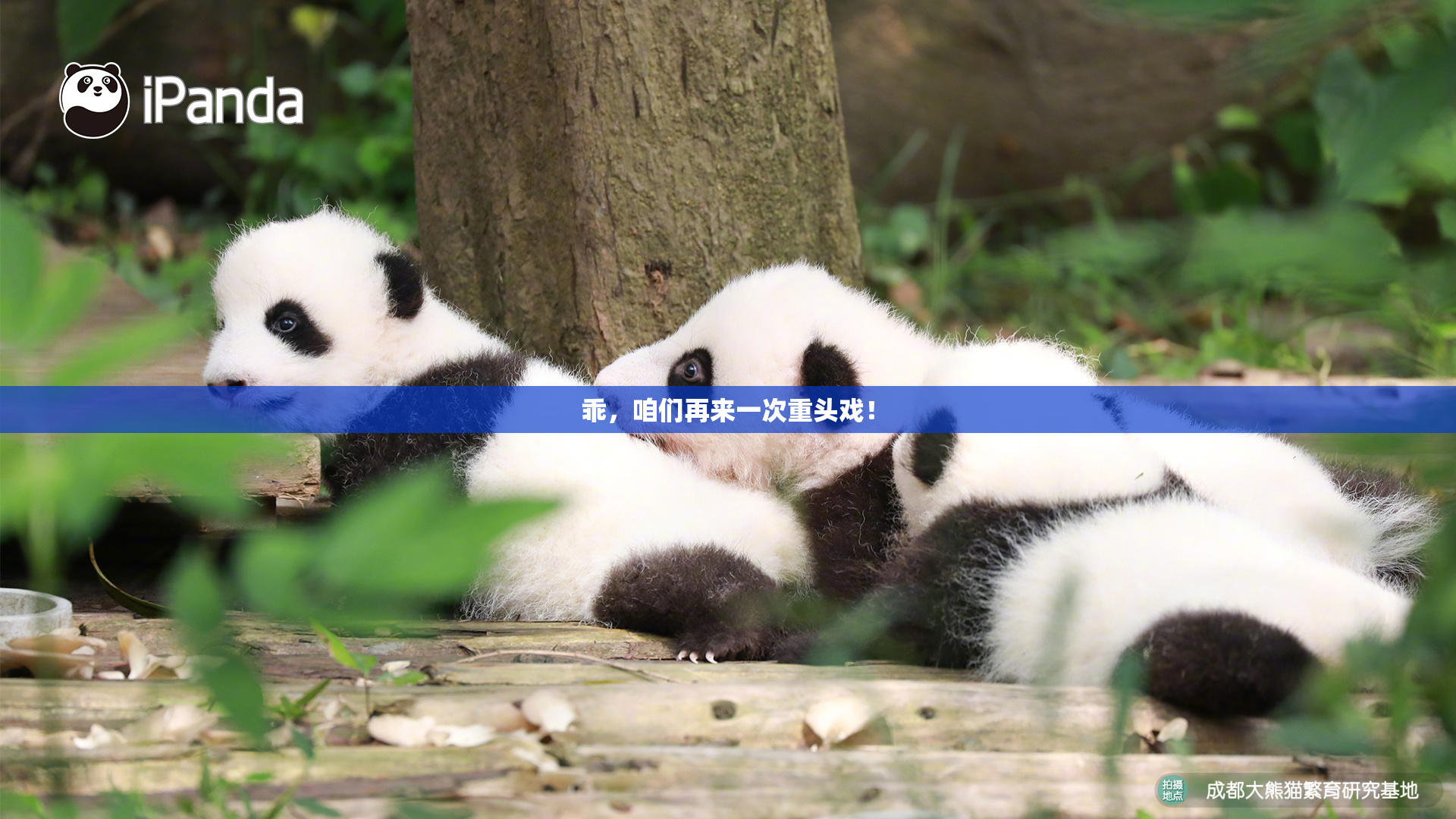 乖，咱们再来一次重头戏！